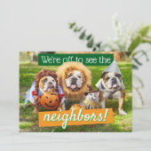 Invitation Trois Bulldogs en costumes (Debout devant)