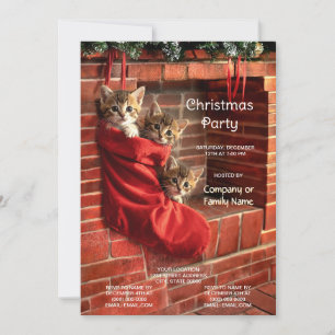 Invitation Trois chatons dans une fête de vacances avec chaus