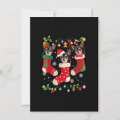 Invitation Trois Chihuahua en choeur Noël Père Noël X-mas Chi (Devant)