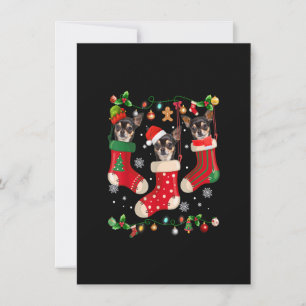 Invitation Trois Chihuahua en choeur Noël Père Noël X-mas Chi