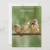 Invitation Trois photos d'oiseaux d'animaux sur Twitter (Dos)