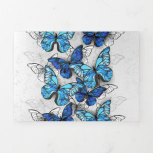 Invitation Trois Volets Composition de papillons blancs et bleus