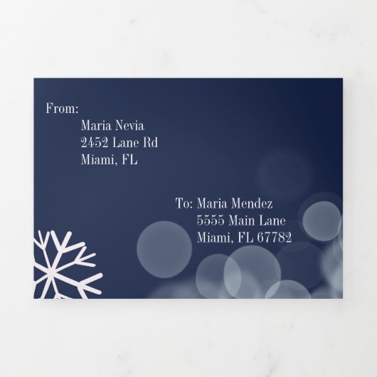 Invitation Trois Volets Moderne Sweet 16 Snowflakes Scattered Bokeh Lumièr (Page de couverture)