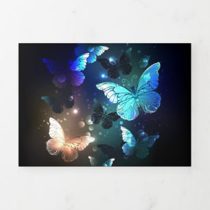 Invitation Trois Volets Papillon de nuit