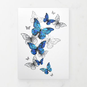 Invitation Trois Volets Papillons volants bleus Morpho