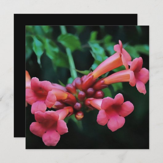 Invitation Trompette rose Honeysuckie Art botanique (Devant / Derrière)