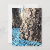 Invitation troncs d'arbre (Devant)