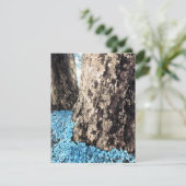 Invitation troncs d'arbre (Debout devant)