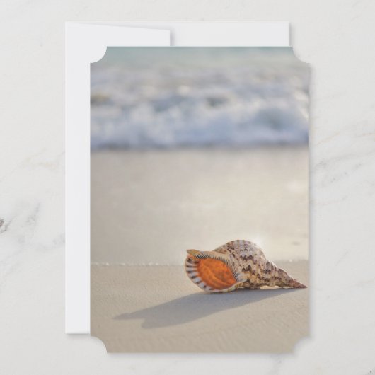 Invitation Tropical Beach Ocean Seashell Retraite (Dos)