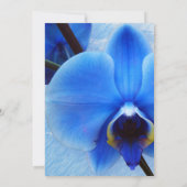 Invitation Tropical Blue Orchid Floral Gold Frame Mariage Inv (Dos)