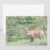 Invitation Trousse Red Fox (Devant / Derrière)