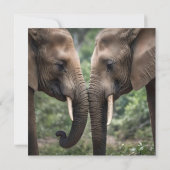 Invitation "Trunk to Trunk : A Gentle Elephant Embrasser" (Dos)