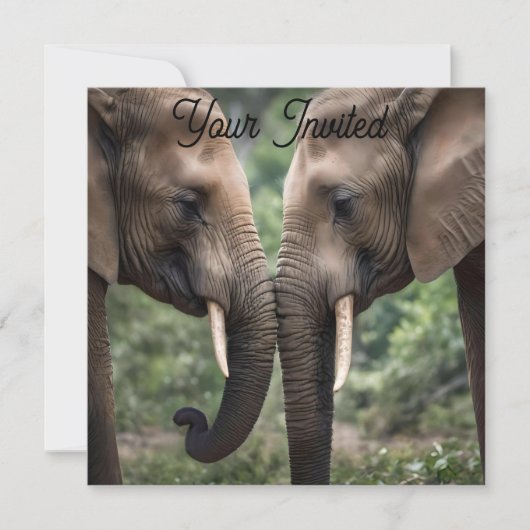 Invitation "Trunk to Trunk : A Gentle Elephant Embrasser" (Devant)
