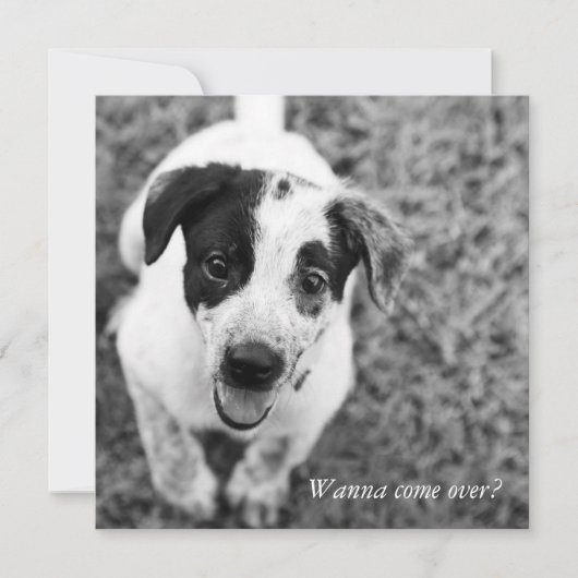 Invitation Tu veux venir ? (Devant)