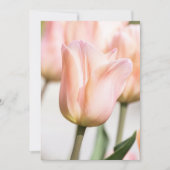 INVITATION TULIP (Devant)