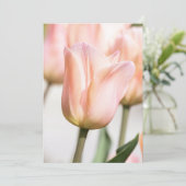 INVITATION TULIP (Debout devant)