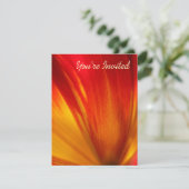 Invitation Tulip (Debout devant)