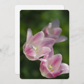 Invitation tulipe rose (Devant / Derrière)