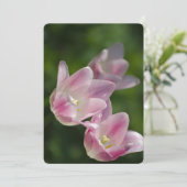 Invitation tulipe rose (Debout devant)