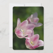 Invitation tulipe rose (Devant)