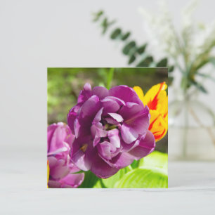 Invitation Tulipes lilas par une journée ensoleillée