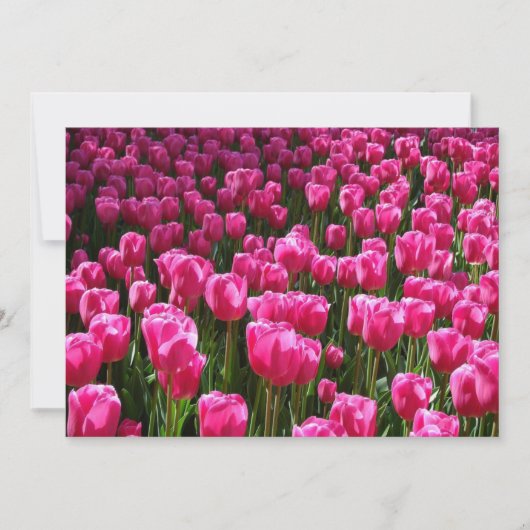 Invitation Tulipes roses (Devant)