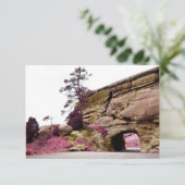 Invitation tunnel routier (Debout devant)