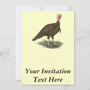 Invitation Turquie Chocolat Tom
