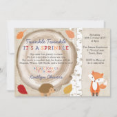 Invitation Twinkle Sprinkle Poem, deuxième fête de bébé pour (Devant)