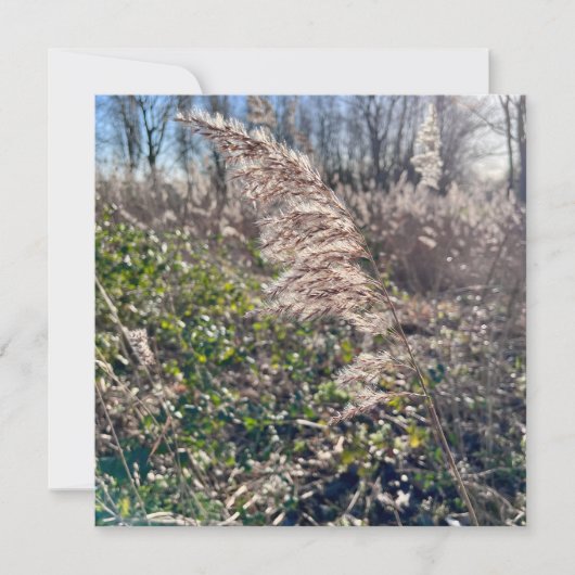 Invitation Un bonheur d'automne... (Devant)