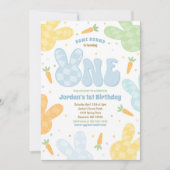 Invitation Un Lapin 1er Anniversaire Moderne Bunny Party (Devant)