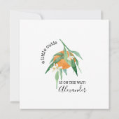 Invitation Un Petit Cutie Oranges Eucalyptus Merci bébé (Dos)