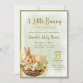 Invitation Un petit lapin Baby shower de lapin de printemps f (Devant)