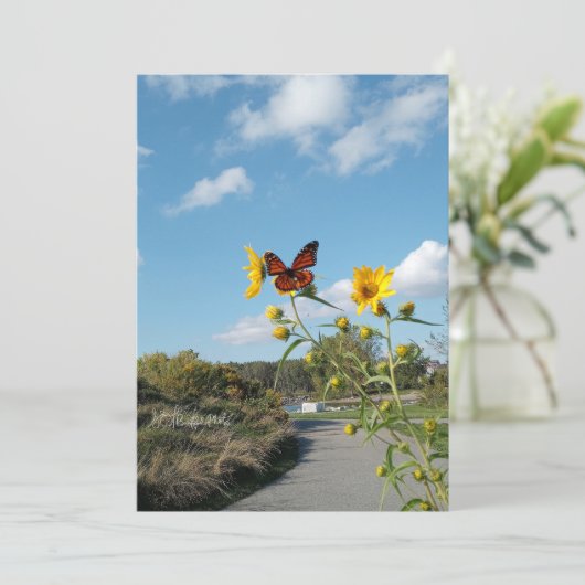 Invitation Un Spectacle éblouissant (Debout devant)