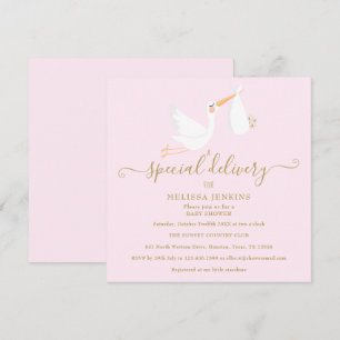 Invitation Une Baby Shower / Sprinkle de cigogne de livraison