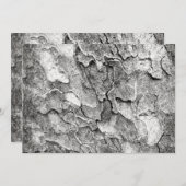 Invitation Une nature ici (Devant / Derrière)