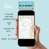 Invitation Une oie bête En vichy 1er anniversaire