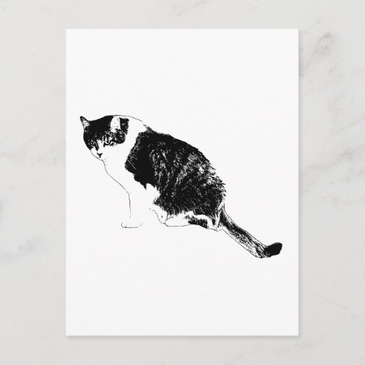 Invitation vectorielle de chat noir avec des notes (Devant)