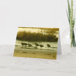 Invitation - Venez et rejoignez la fête!