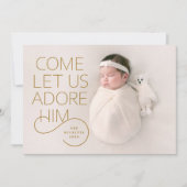 Invitation Venez Laissez-nous l'admirer plein sang photo de N (Devant)