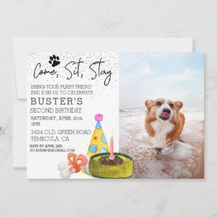 Invitation Venez Sit Rester Chien Anniversaire Photo Party