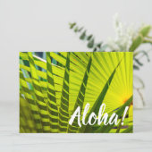 Invitation Ventilateur de palme, Kilauea, Kauai, Hawaii (Debout devant)