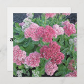 Invitation Vert de rose d'usine de jardin de floraison de (Devant / Derrière)