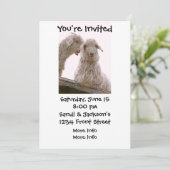 Invitation Vielles chèvres stupides (Debout devant)