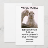 Invitation Vielles chèvres stupides (Devant / Derrière)