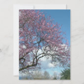 invitation vierge, arbre de floraison de cerisier (Dos)