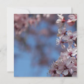 invitation vierge, arbre de floraison de cerisier (Dos)