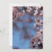 invitation vierge, arbre en fleurs (Dos)