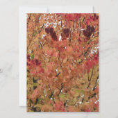 invitation vierge avec feuilles colorées d'automne (Dos)