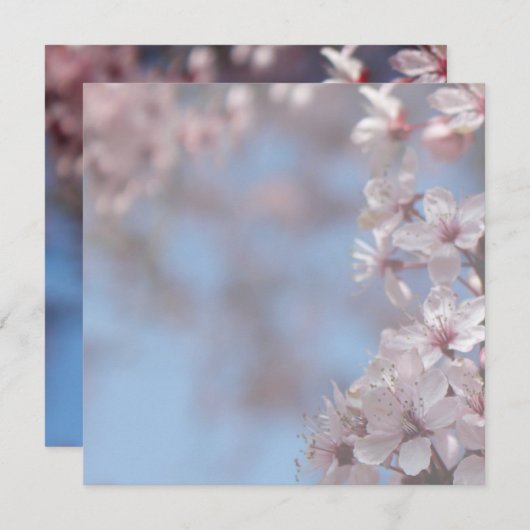 invitation vierge, cerisier en fleurs (Devant / Derrière)